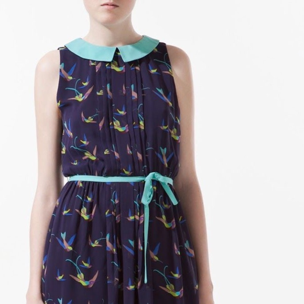 Zara 'Peter-Pan Collar' Dress